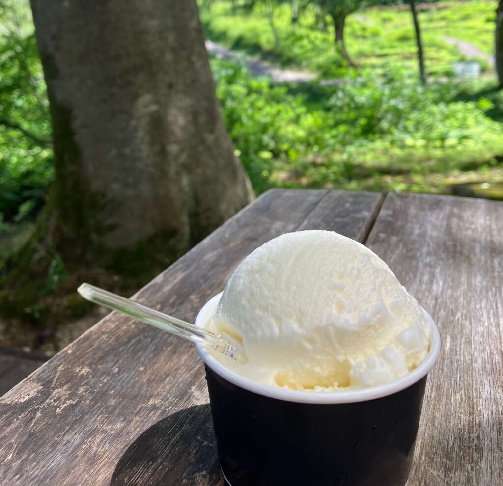 越後湯沢-観光-日帰り-画像2トリミング後