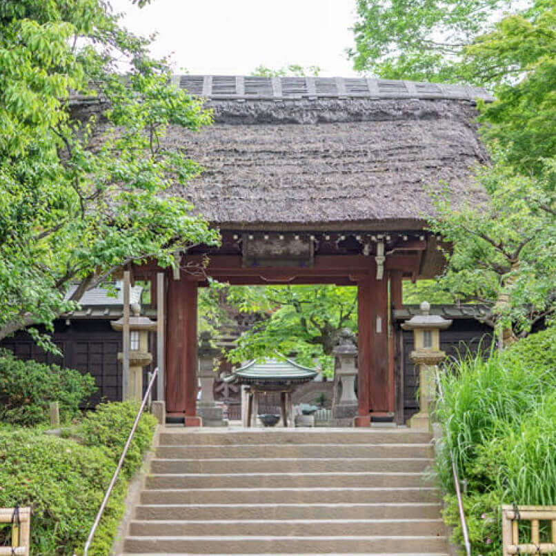 東京-観光-穴場-50代-女性-画像10