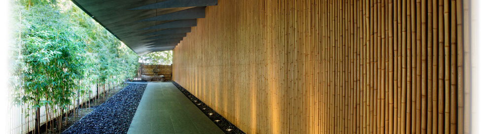 東京-観光-穴場-50代-女性-画像4