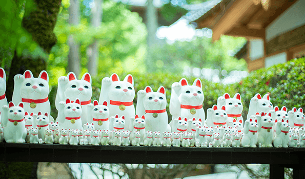 東京-観光-穴場-50代-女性-画像9