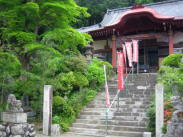 午年-神社-埼玉-2026-画像5