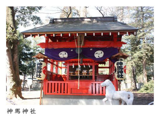 午年-神社-埼玉-2026-画像7
