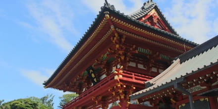午年-神社-関東-画像3