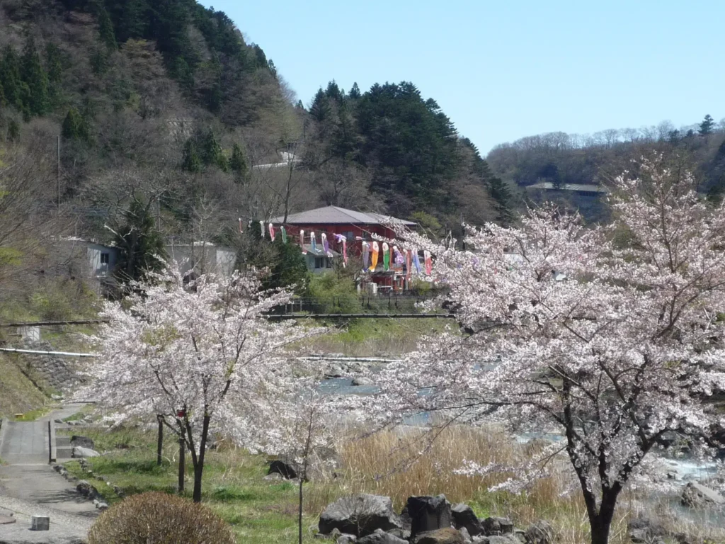 インバウンド-少ない-温泉-画像6