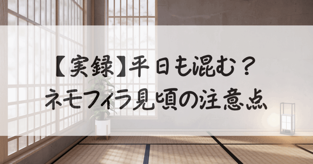 ネモフィラ-ひたち海浜公園-混雑-サムネイル