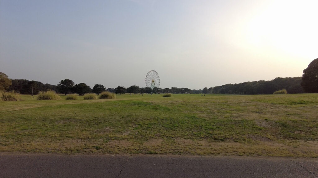 ネモフィラ-ひたち海浜公園-混雑-画像5