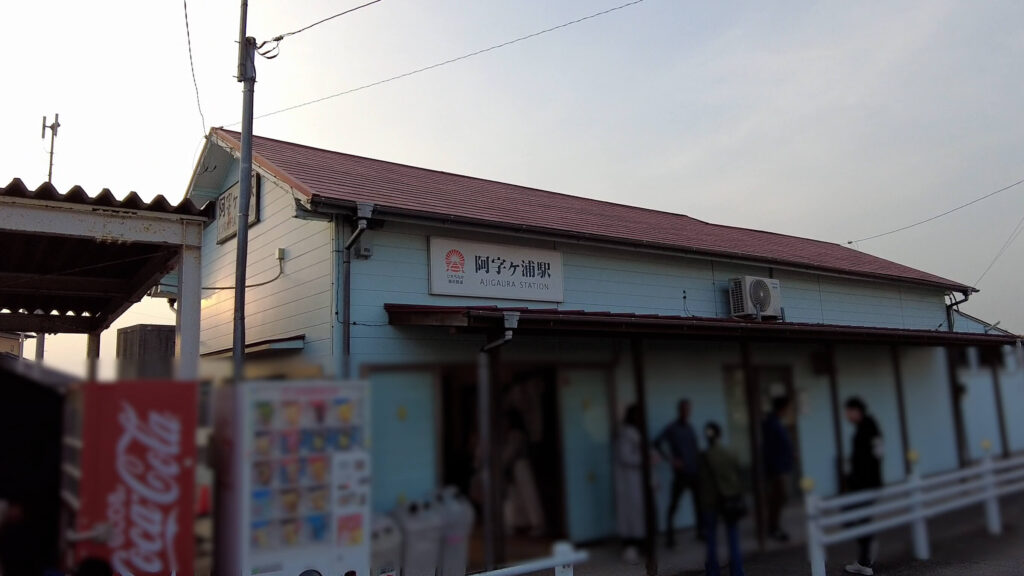 ネモフィラ-ひたち海浜公園-混雑-画像6