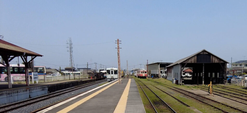 ネモフィラ-ひたち海浜公園-混雑-画像7