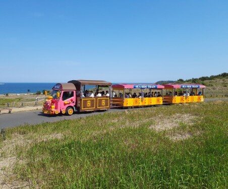 ネモフィラ-ひたち海浜公園-混雑-画像8