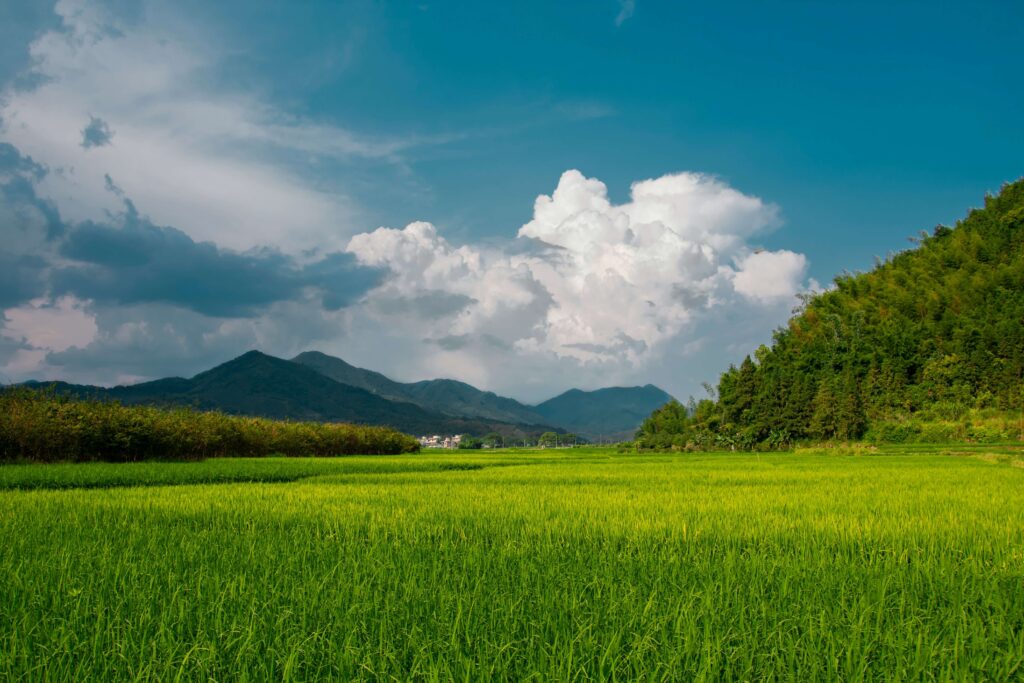避暑地-標高1000m-画像10