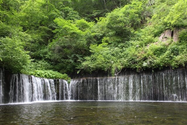 避暑地-標高1000m-画像4