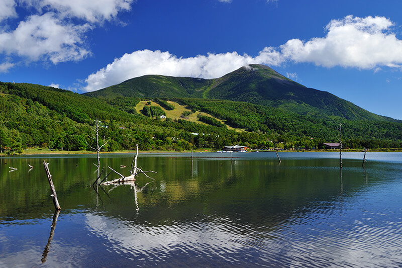避暑地-標高1000m-画像5
