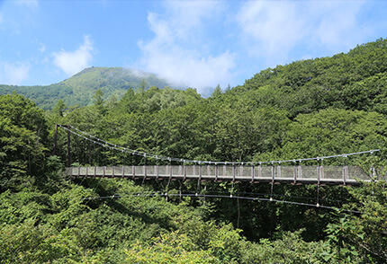 避暑地-標高1000m-画像7